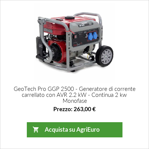 Generatore di corrente 2,0 KW monofase a benzina GeoTech Pro GGP 2500 - carrellato