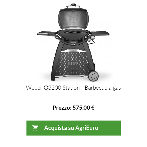 Barbecue a gas Weber Q3200 Station - Superficie di cottura 63 x 45 cm